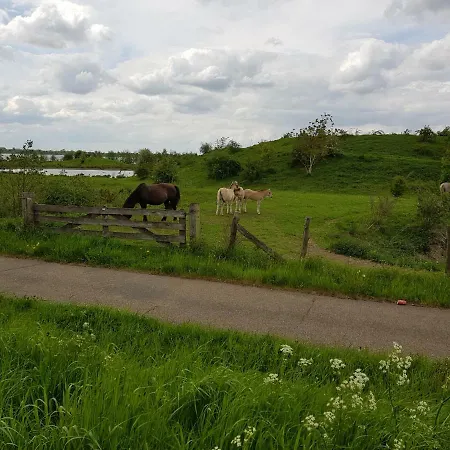 Het Gildehuis Met Sauna En Jacuzzi Apartamento