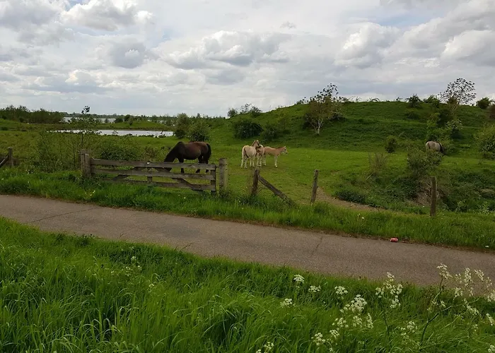 Het Gildehuis Met Sauna En Jacuzzi Апартаменты