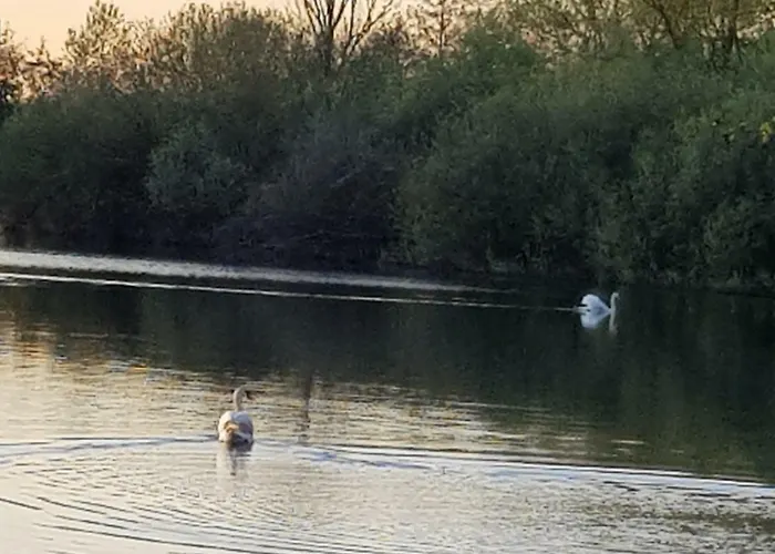 Het Gildehuis Met Sauna En Jacuzzi Appartement